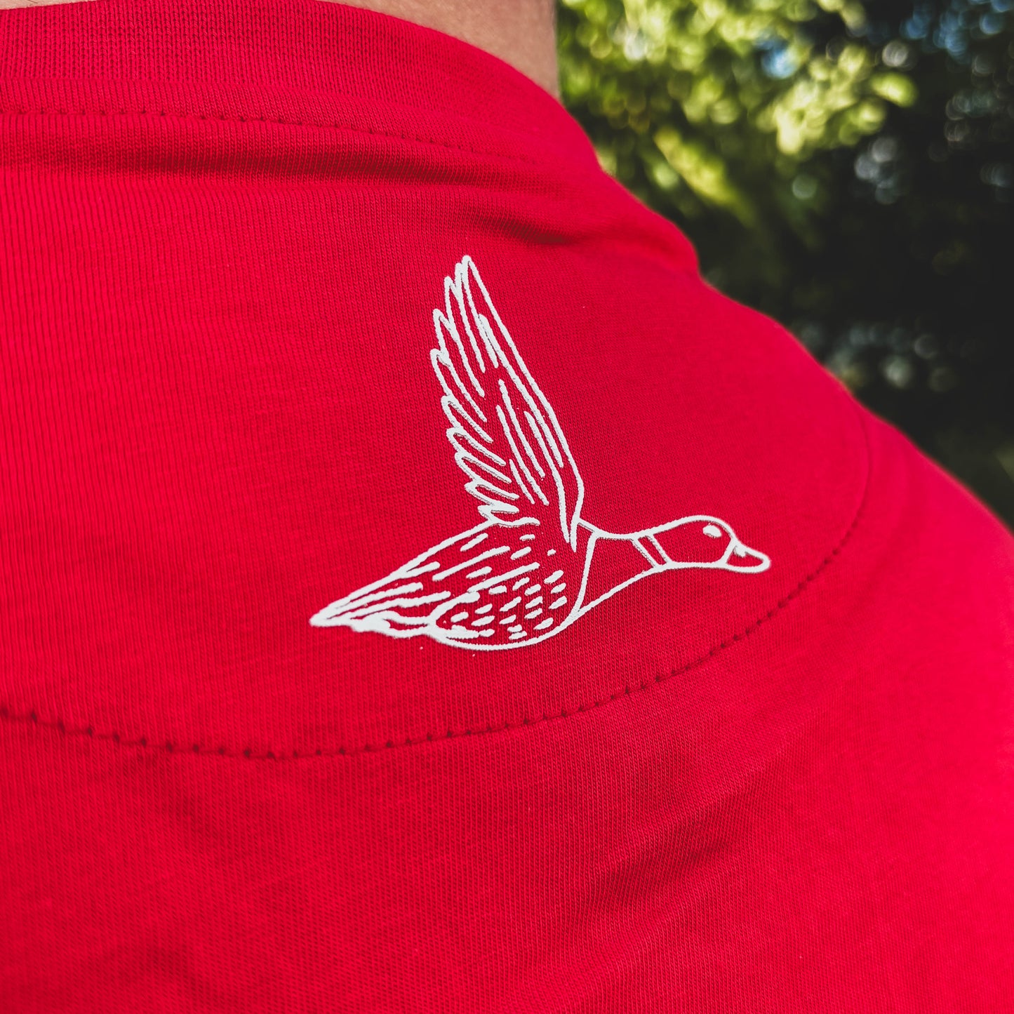 Cayuga T shirt (Unisex)